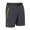Budget 😀 Ternua Friz Short - Short randonnée homme 🎁 2 Budget 😀 Ternua Friz Short - Short randonnée homme 🎁 -Cairn Shop ternua friz short short randonnee homme whales grey
